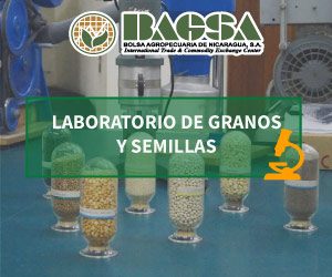 Laboratorio de granos y semillas BAGSA